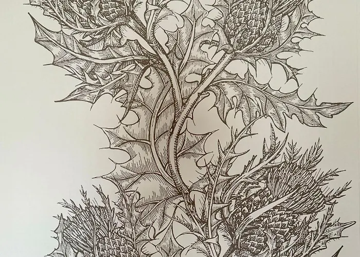 Gæstehus Scot Townhouse