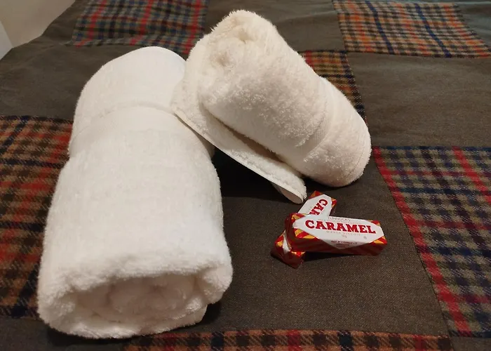 Lovely Flat In Gorgie, דירה