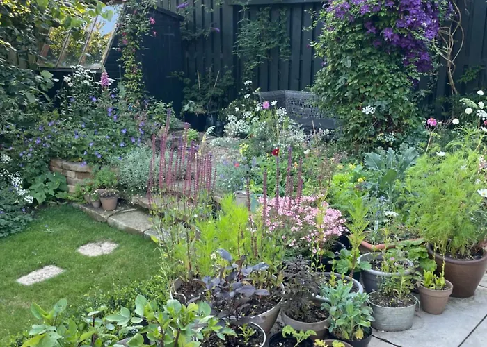 Beautiful Double Homeshare Great Location
