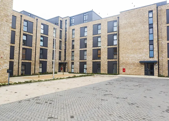 Amber * إدنبرة