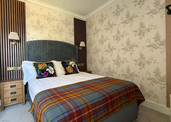 Armadillo Guest House- Adults Only Maison d'hôtes *