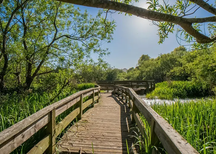 Northfield 1 Bedroom With Sofa Bed - דירה אדינבורו