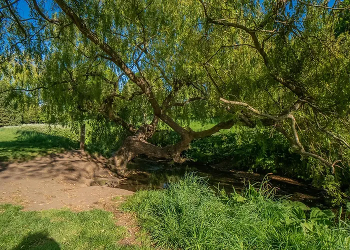 Northfield 1 Bedroom With Sofa Bed - דירה