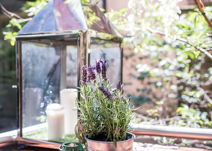 Radisson Collection Hotel, Royal Mile