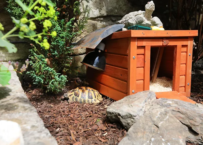 게스트하우스 Lauderville 에든버러