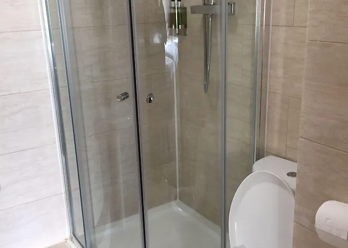 Adelphi Affittacamere 3*