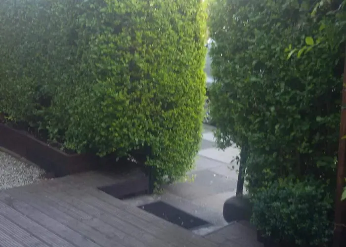 Vendégház Cambridge House 3*