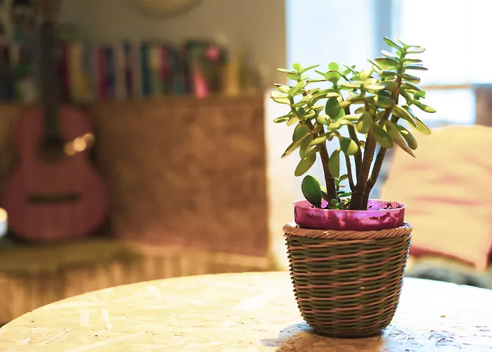 하기스 호스텔 *