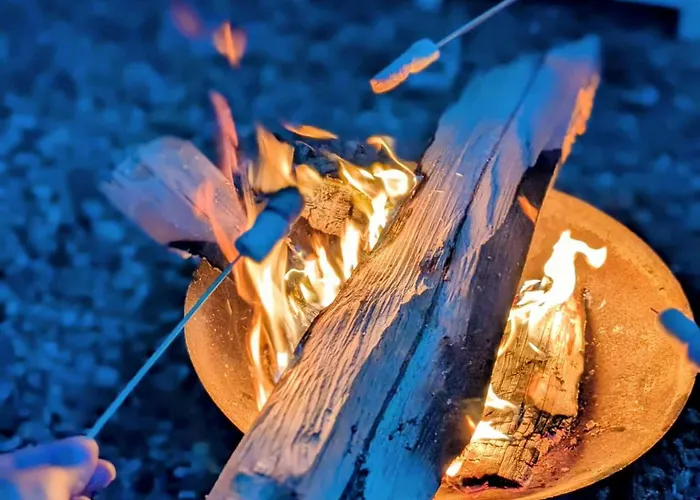 Newly Refurbished 3 Bed House With 2-sided Wood Burner And Garden In * Edimburgo