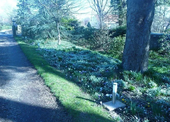 Spylaw Bank House 3* אדינבורו