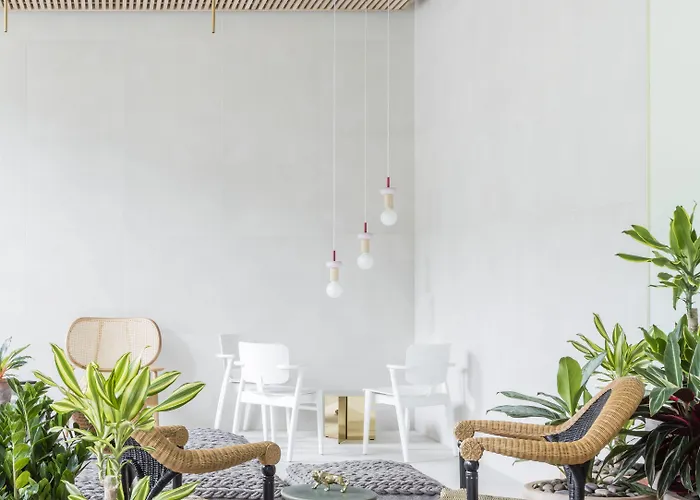 Eden Locke Edimburgo