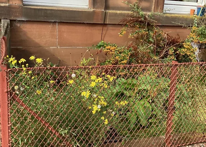 Ground Floor Shared With Host *