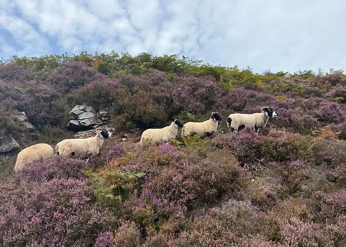 דירה Royalmileluxe 3bed *