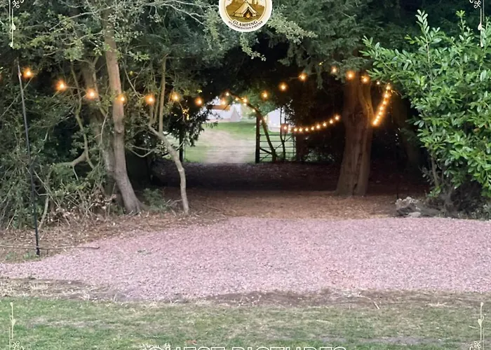 Festival Glamping By Social Edynburg