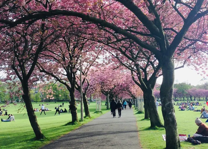 Διαμέρισμα Cozy Flat Near Castle And With Free Private Parking Εδιμβούργο