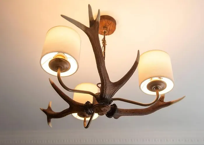 Upper Bow - Luxurious, Modern 1br Near Castle Apartment *