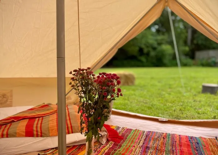 Campsite Festival Glamping By Social Edinburgh