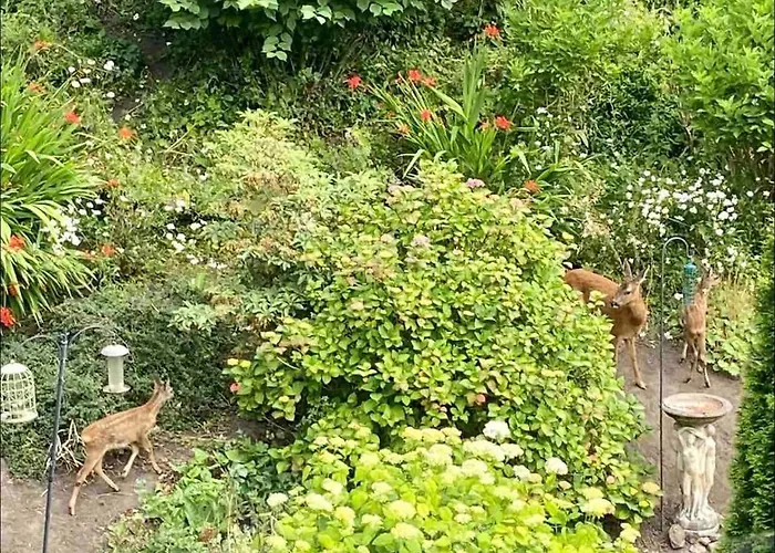 Tranquil 2 Bed Flat, Free Parking, Near Murrayfield & Centre * 爱丁堡