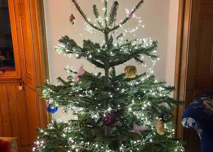 Cosy Διαμέρισμα *