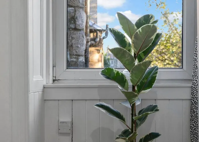 Apartment Bright 2 Bedroom Flat On Leith Walk *