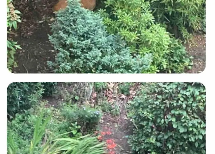 Tranquil 2 Bed Flat, Free Parking, Near Murrayfield & Centre