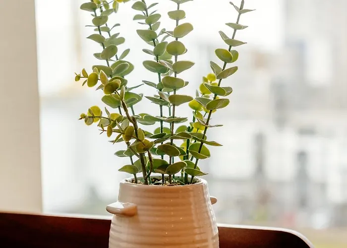 דירה Weston's Penthouse Sleep 10, 6 Beds Free Parking *