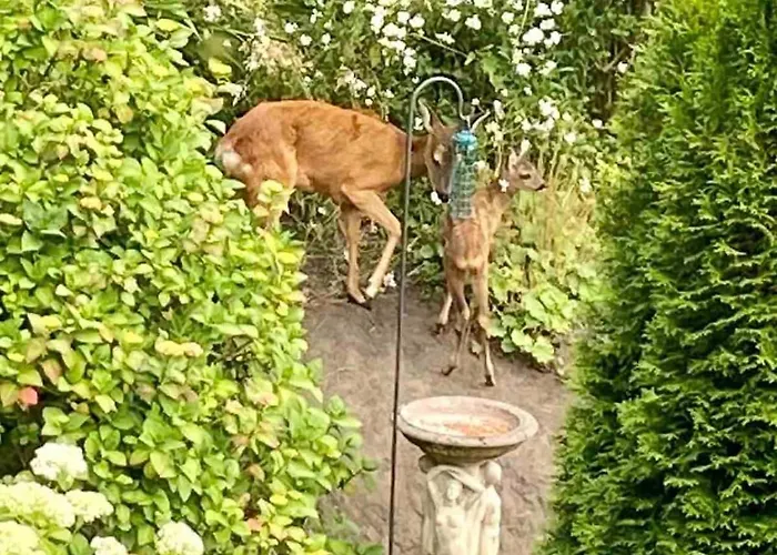 Tranquil 2 Bed Flat, Free Parking, Near Murrayfield & Centre Edinburgh