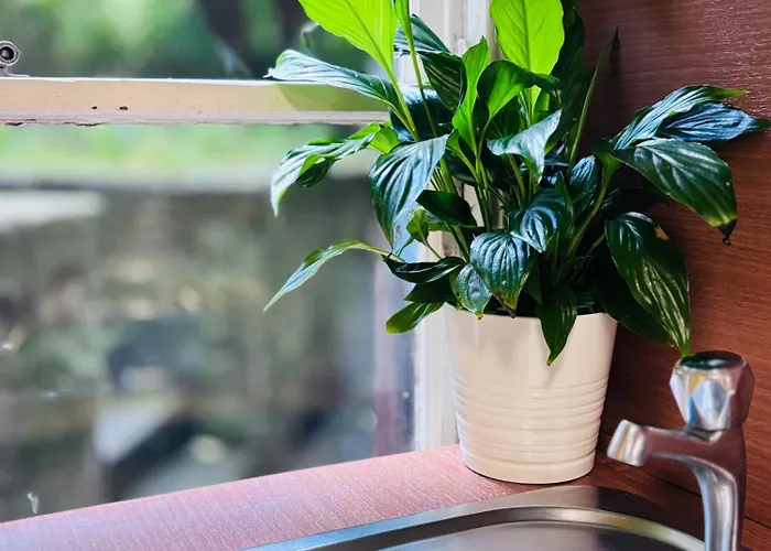 Apartment Entire Flat In Edinburgh, Center