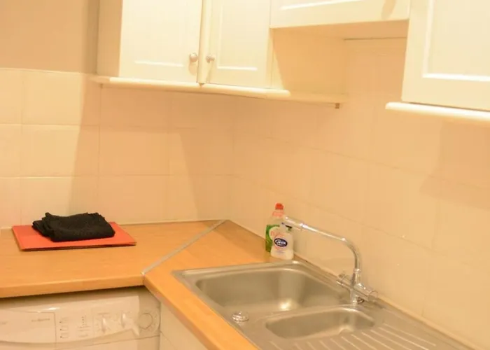 Apartment Elm Row Spacious And *