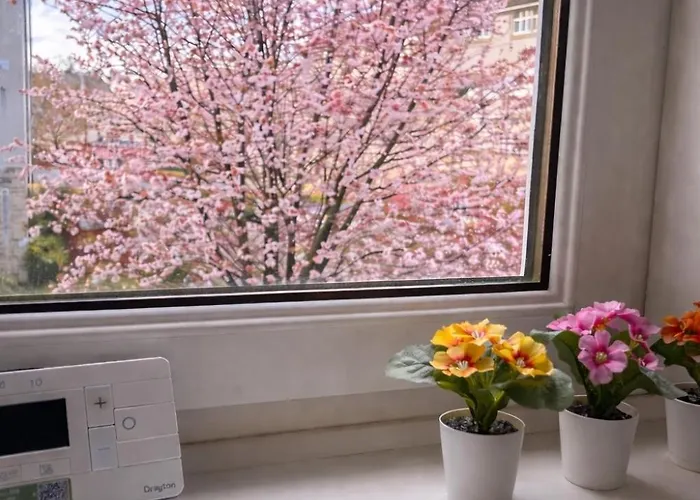 Apartment Luxury 2 Bedroom Flat In The Centre