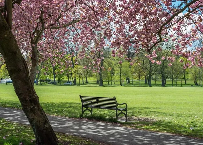 Newly Luxury Nests - Location