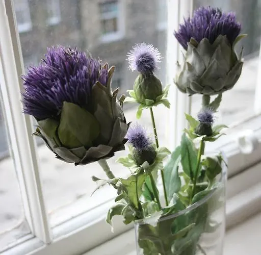 شقة Royal Mile Budget