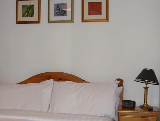 Twin Lions Hotel Edinburgh