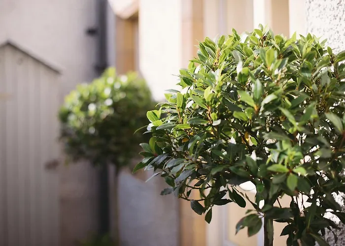 Holiday home The Pavilion At Lamb's House *