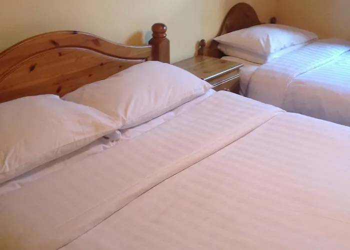 Twin Lions Edinburgh