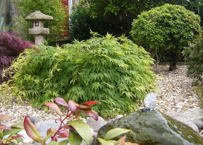 Amaragua 5* Edinburgh