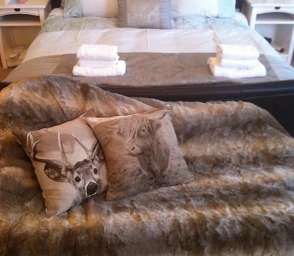 Bed & Breakfast Wilton Road *