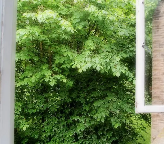 Гостевой дом Almond House Эдинбург