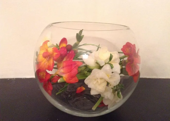 Ailsa بيت ضيافة