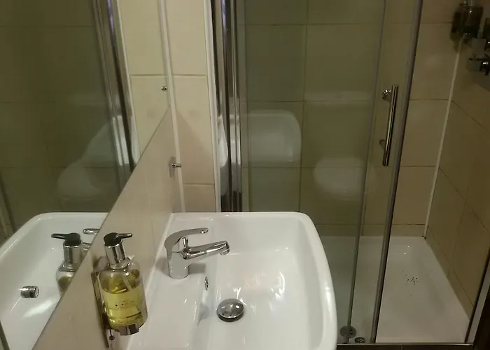 Guest house Adelphi 3*