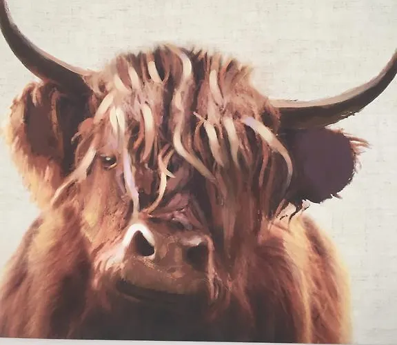 Wilton Road Bed & Breakfast *