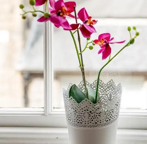 Luxury New Town 1 Bed דירה