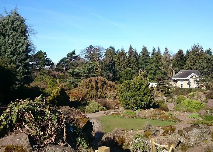 Appartamento Violet Bank New Town