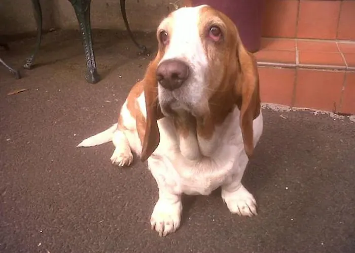 Albyn Townhouse エディンバラ