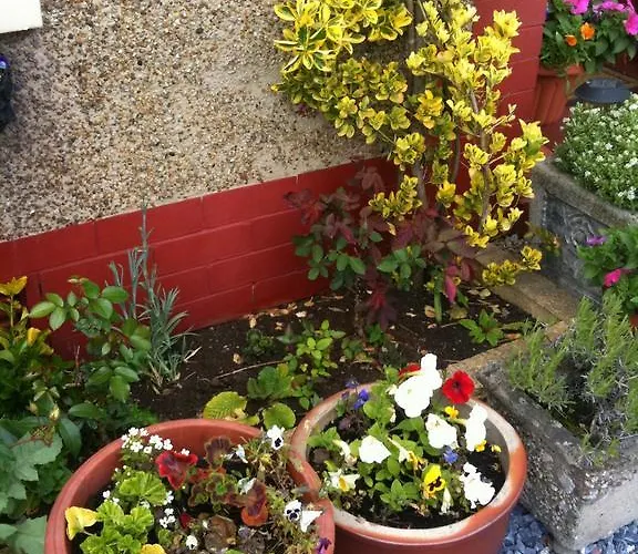 לינה וארוחת בוקר Almond House אדינבורו