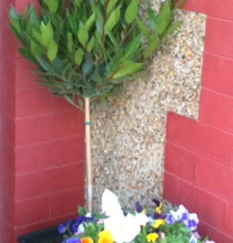 Almond House אדינבורו