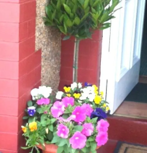 Almond House לינה וארוחת בוקר *