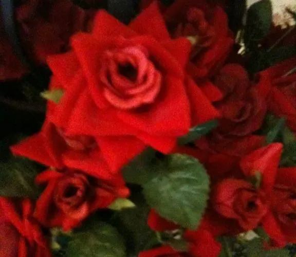 Almond House * אדינבורו