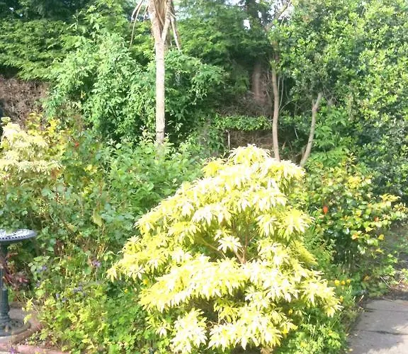 Almond House אדינבורו