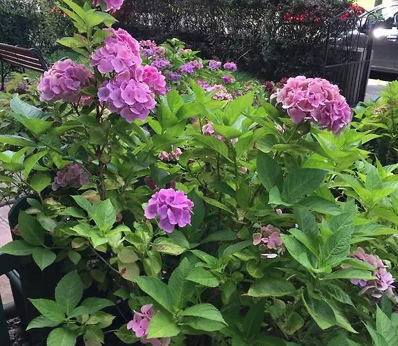 Hermitage 3* Edimburgo